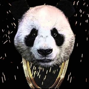 Meet your Posher, OnePunch Panda